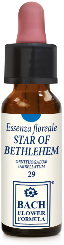 Erba Vita Star Of Bethlehem 10ml Gocce - Soluzione Idroalcolica Floreale