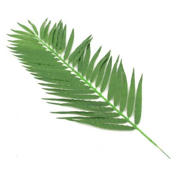 Europalms Kokos-Palmwedel, künstlich, 110cm 12x (82509897)