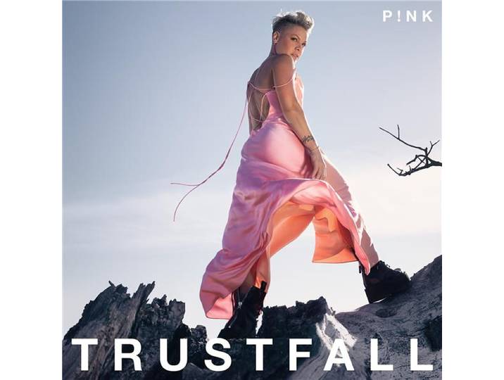 Trustfall