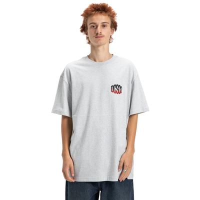 T-Shirt DC SHOES "Squash It", Herren, Gr. M, grau (light erdgrau), Obermaterial: 75% Baumwolle, 25% Baumwolle., Shirts T-Shirt