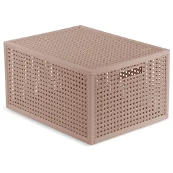 Box KAYA 20L rose (LBH 41,60x30x7,10 cm) - rosa - LBH 41,60x30x7,10 cm