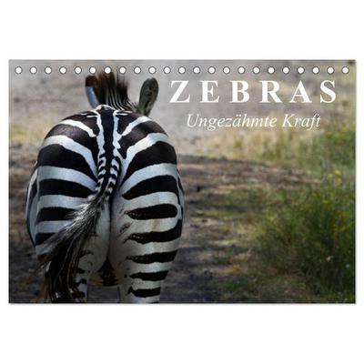 Zebras - Ungezähmte Kraft (Tischkalender 2026 DIN A5 quer), CALVENDO Monatskalender
