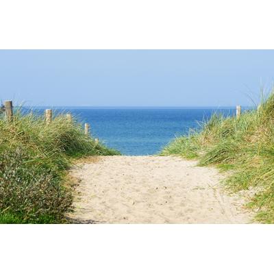 Fototapete PAPERMOON "Dune at the Ocean", bunt, B:3m L:2,23m, Vlies, Tapeten