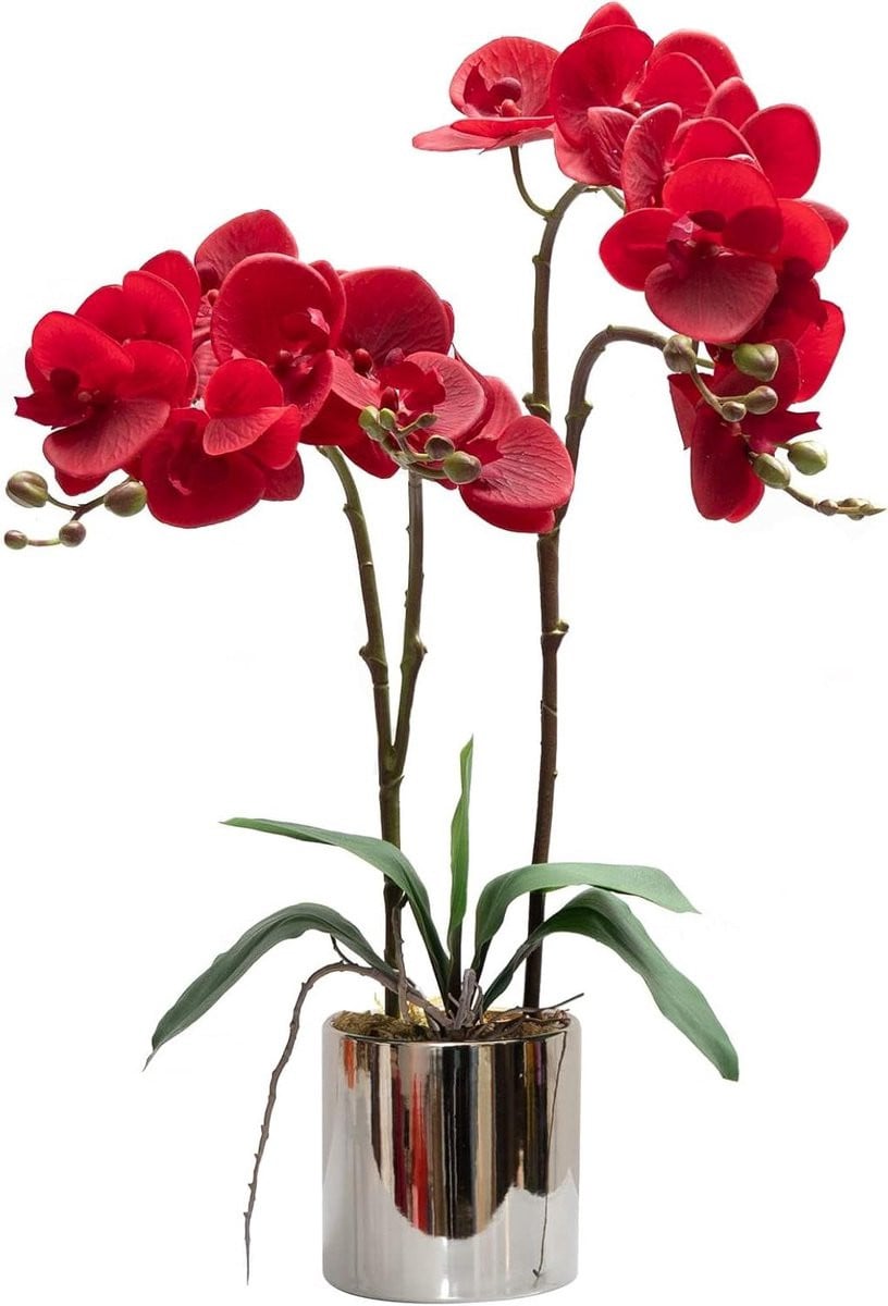 Realistische kunstmatige rode orchidee voor huisdecoratie - 50 cm