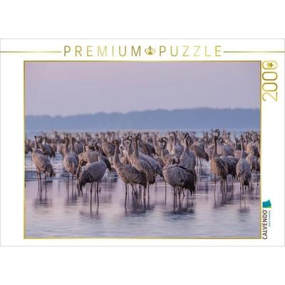CALVENDO Puzzle Kraniche am Schlafplatz stehen im Wasser | 2000 Teile Lege-Größe 90 × 67 cm Foto-Puzzle für glückliche Stunden