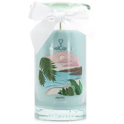Aquatic Seaside (Ohrringe) 400g