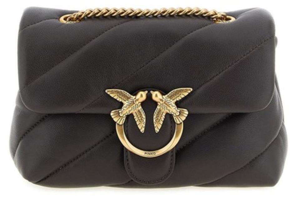 Die Tasche Pinko accessories122297XXA