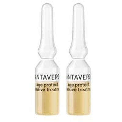 AGE Protect ampullenkur 2x 2x10x1 ml Ampullen