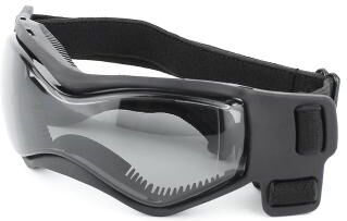 Pet Hub UV Protective Goggles For Dogs & Cats   Cool Eyewear For Small Medium Pets M 2