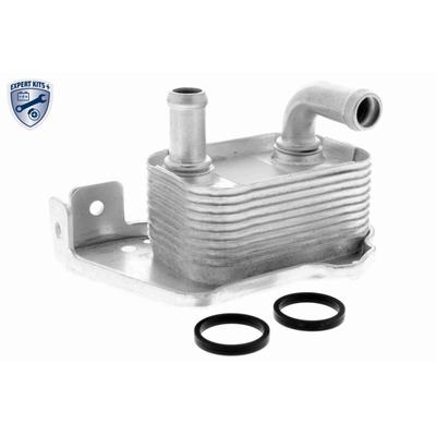 VEMO Ölkühler, Motoröl EXPERT KITS + V40-60-2110 für Opel
