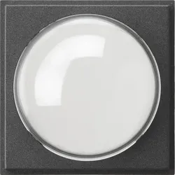 Gira Abdeckung anth 141567