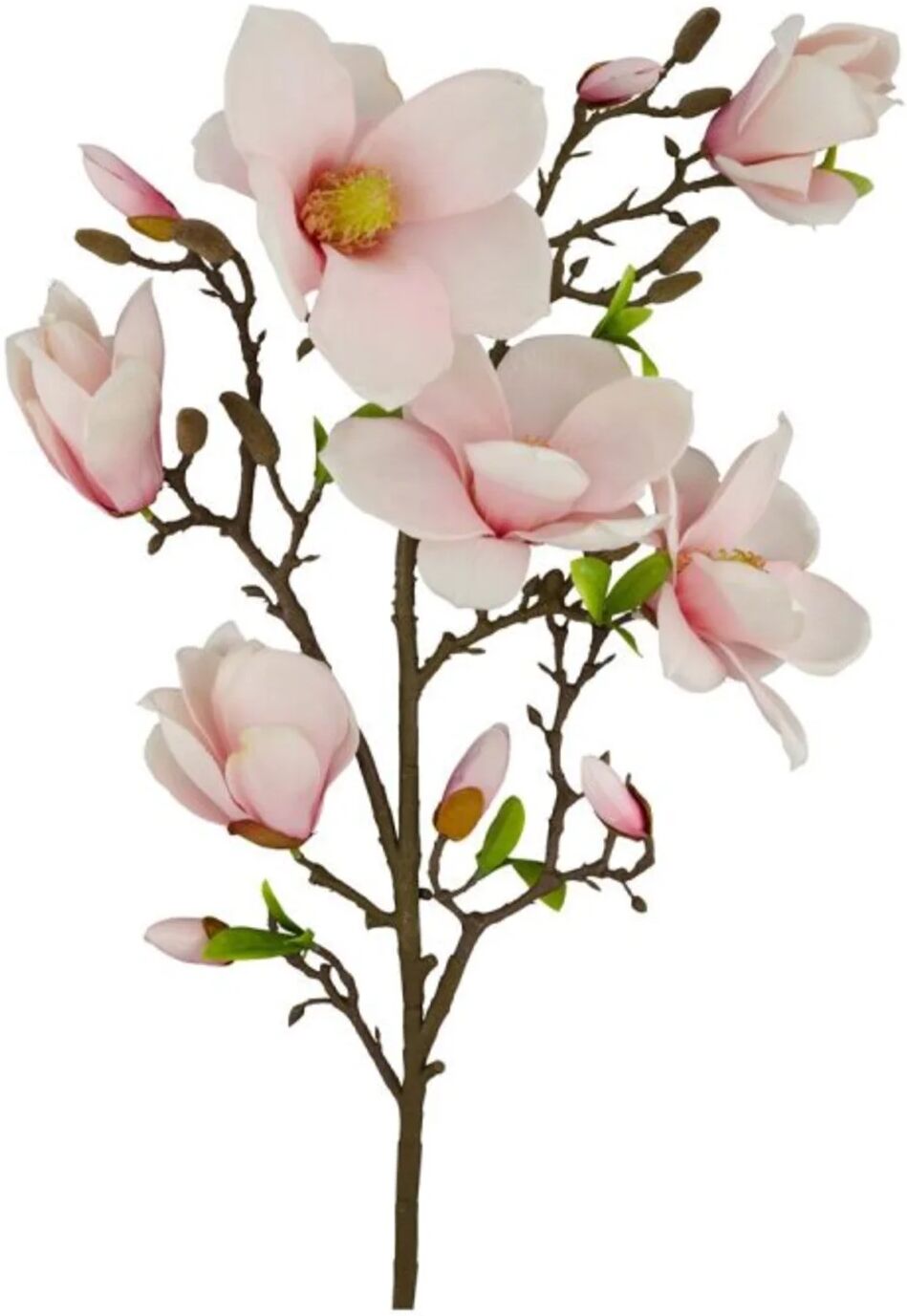 Decofinder Magnolie Xl, Rosa  Rosa