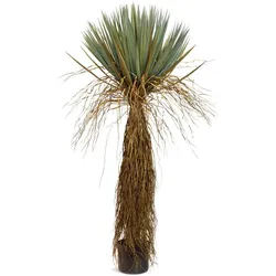 Yucca - Palmlilie Kunstpflanze 138 cm