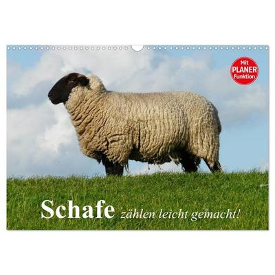 Schafe zählen leicht gemacht! (Wandkalender 2026 DIN A3 quer), CALVENDO Monatskalender