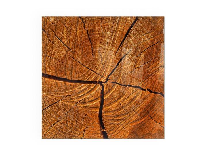 KAMINBODENPLATTE 50x50 cm - Holzmaserung im Querschnitt