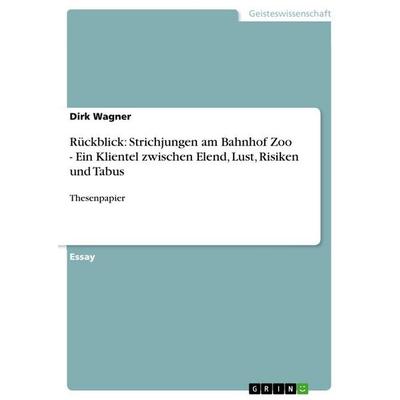Rückblick: Strichjungen am Bahnhof Zoo - Ein Klientel zwischen Elend, Lust, Risiken und Tabus, Taschenbuch von Dirk Wagner, GRIN, 978-3-640-96919-7