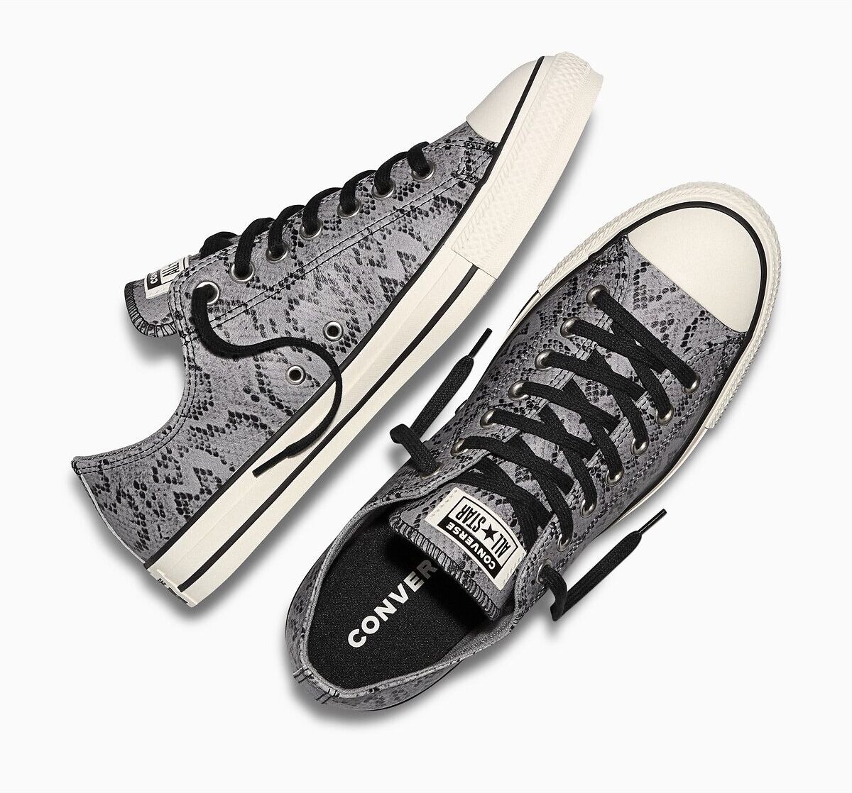 CONVERSE Baskets CHUCK TAYLOR ALL STAR OX SCALES