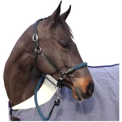 Canter, Halfter