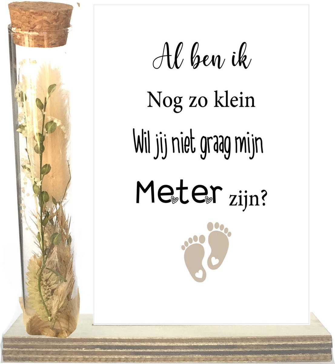 Stars 4 you Droogbloemen in buisje - Taupe