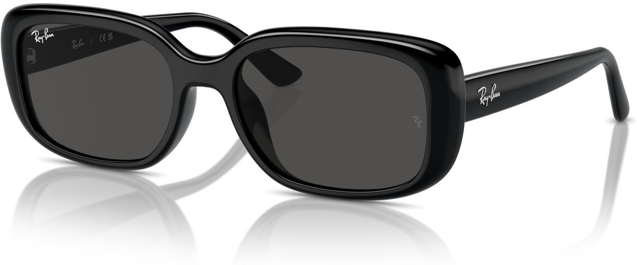 Ray-Ban 4421D (667787)