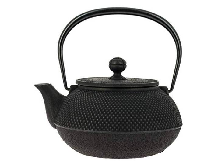 Iwachu Japanische Gusseisen Teekanne mit Filter und Traditionelles Design 900 ml schwarz