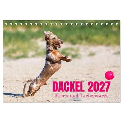 DACKEL 2027 Frech und Liebenwert (Tischkalender 2027 DIN A5 quer), CALVENDO Monatskalender