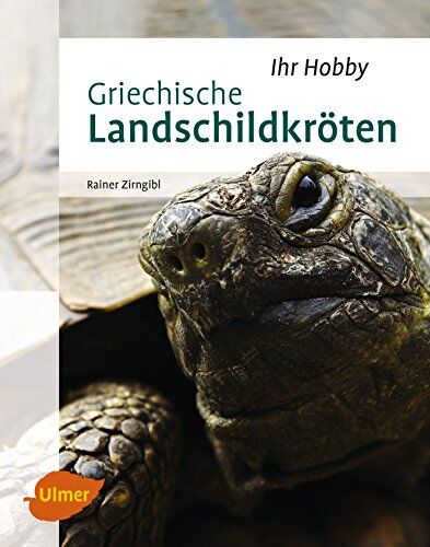 Rainer Zirngibl - Griechische Landschildkröten - Preis vom 09.10.2026 07:28:09 h