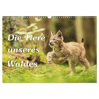 Die Tiere unseres Waldes (Wandkalender 2027 DIN A3 quer), CALVENDO Monatskalender
