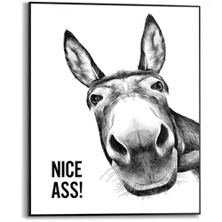 Bild NICE ASS (BHT 40x50x1,60 cm) - bunt - BHT 40x50x1,60 cm
