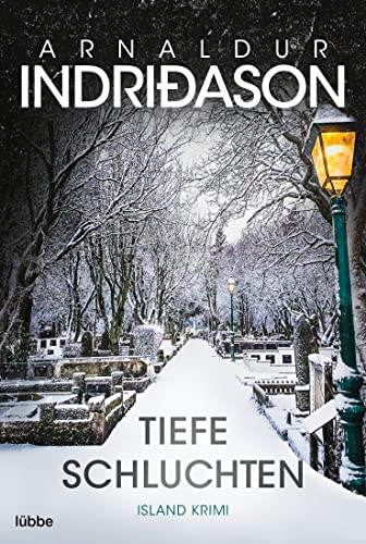 Arnaldur Indridason - Tiefe Schluchten: Island Krimi (Kommissar Konrad, Band 3) - Preis vom 14.10.2026 23:07:16 h