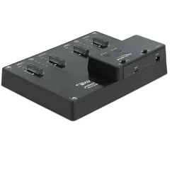 DeLOCK M.2 Dockingstation für 4 x M.2 NVMe PCIe SSD mit Klon Funktion
