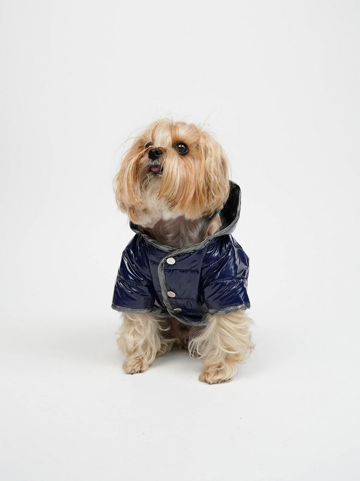 Paws&Whiskers Hundehoodie in Dunkelblau - S