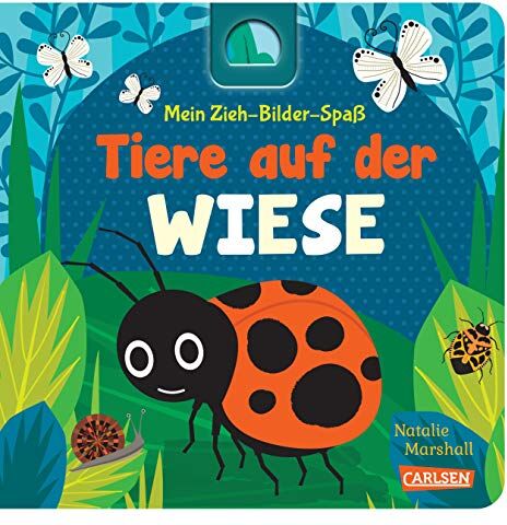 Julia Hofmann - Mein Zieh-Bilder-Spaß: Tiere auf der Wiese - Preis vom 15.10.2026 23:06:25 h