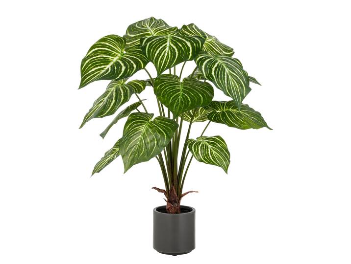 Philodendron Birkin artificiel 70 x 100 x 70cm