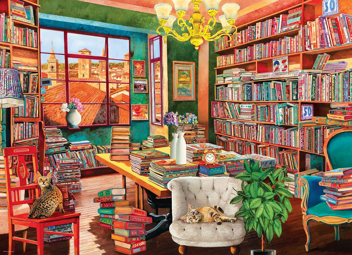 De Oude Bibliotheek door Guido Boerlli