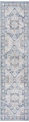 SAFAVIEH Scarlett Sorne Transitional Rug