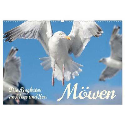 Möwen die Begleiter an Meer und See (Wandkalender 2027 DIN A2 quer), CALVENDO Monatskalender