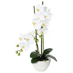 Kunstpflanze Orchideen Weiß/Grün