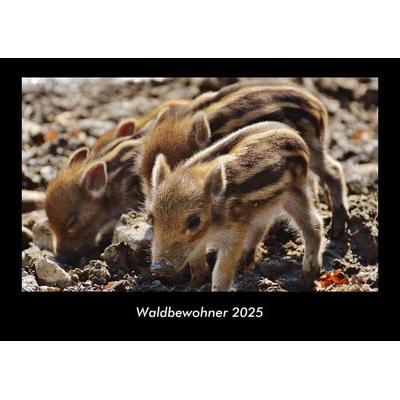 Waldbewohner 2025 Fotokalender DIN A3