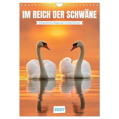 Im Reich der Schwäne (Wandkalender 2027 DIN A4 hoch), CALVENDO Monatskalender