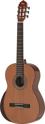 Manuel Rodriguez Tradicion T-65 4/4 Natur Hochglanz