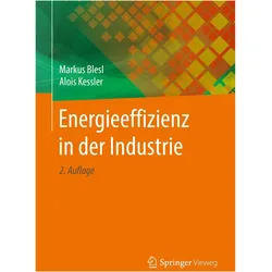 Energieeffizienz in der Industrie, Fachbücher von Markus Blesl, Alois Kessler