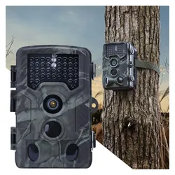 Casativo, Wildkamera