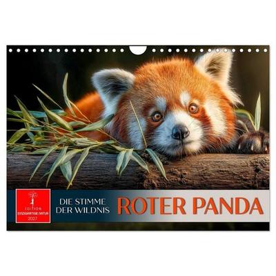 Roter Panda - die Stimme der Wildnis (Wandkalender 2027 DIN A4 quer), CALVENDO Monatskalender