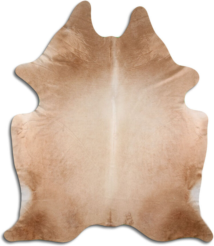 Union Rustic Myrtletown Novelty 2.22 cm x 2.11 cm Animal Print Cowhide Flatweave Area Rug Natural 2.22cm W X 2.11cm L