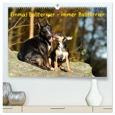 Einmal Bullterrier - immer Bullterrier (hochwertiger Premium Wandkalender 2027 DIN A2 quer), Kunstdruck in Hochglanz