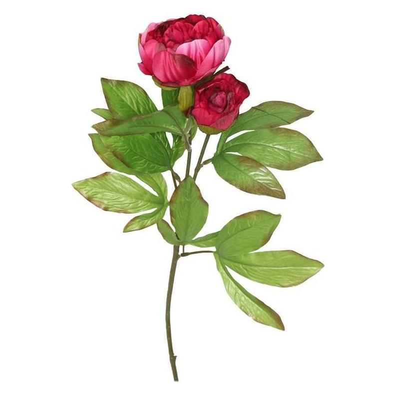 Domoletti ARTIFICIAL FLOWER PEONY 8025.20 DA (68 cm) (56660222)