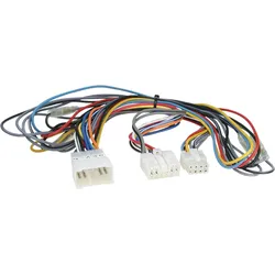  FSE-Adapter Dabendorf Toyota alle Modelle 