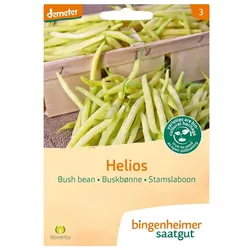 Helios - Buschbohne