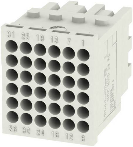 Weidmüller RockStar ModuPlug HDC MHD 36 FC Inhalt: 1 St. Modul